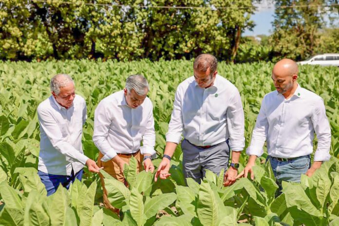 Exportaciones de tabaco INTABACO