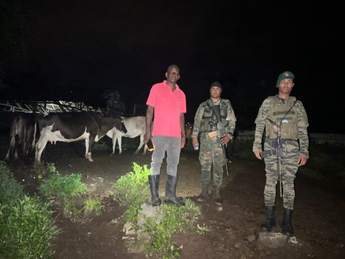 Ejército recupera 18 reses sustraídas